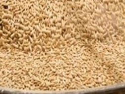 राशन कार्ड धारकों के लिए अच्छी ख़बर
