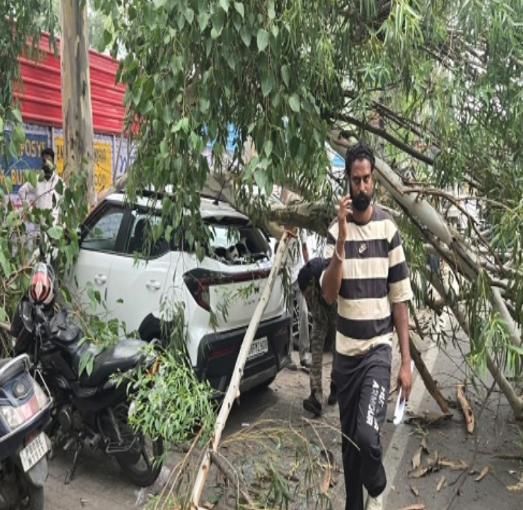 जालंधर में तेज हवाओं ने मचाई तबाही